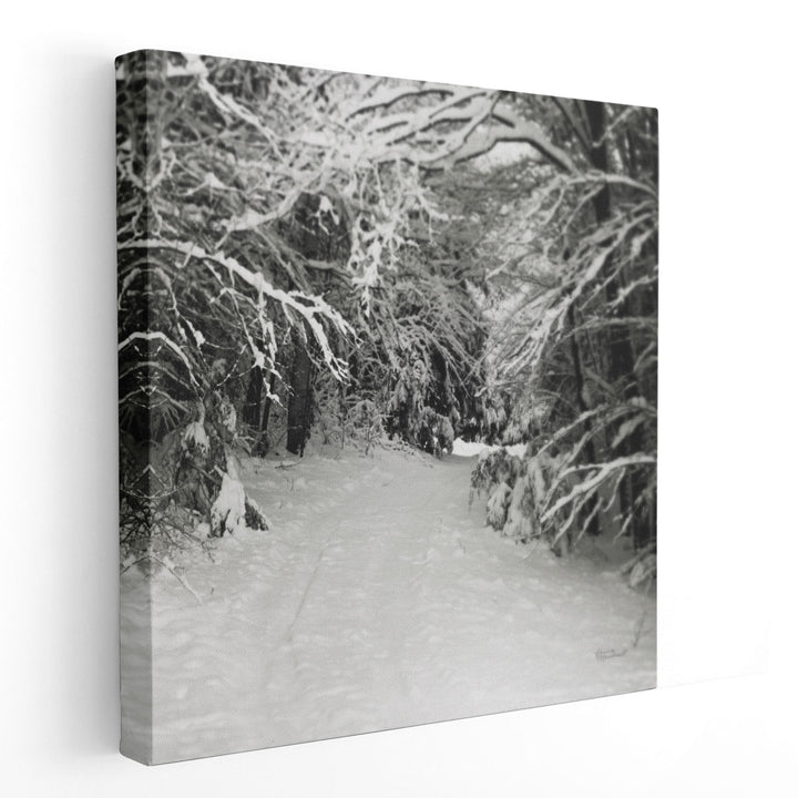 Snowed In - Canvas Print Wall Art