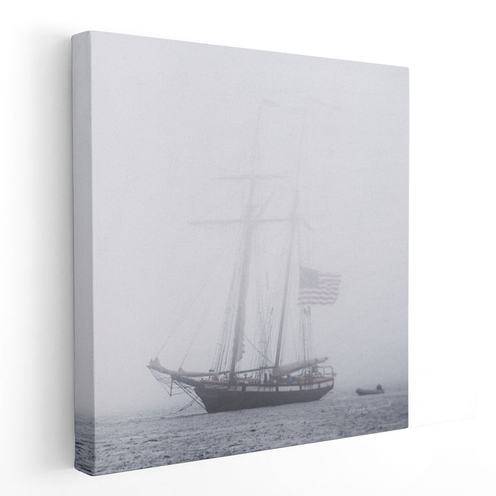 Through the Mist - Canvas Print Wall Art