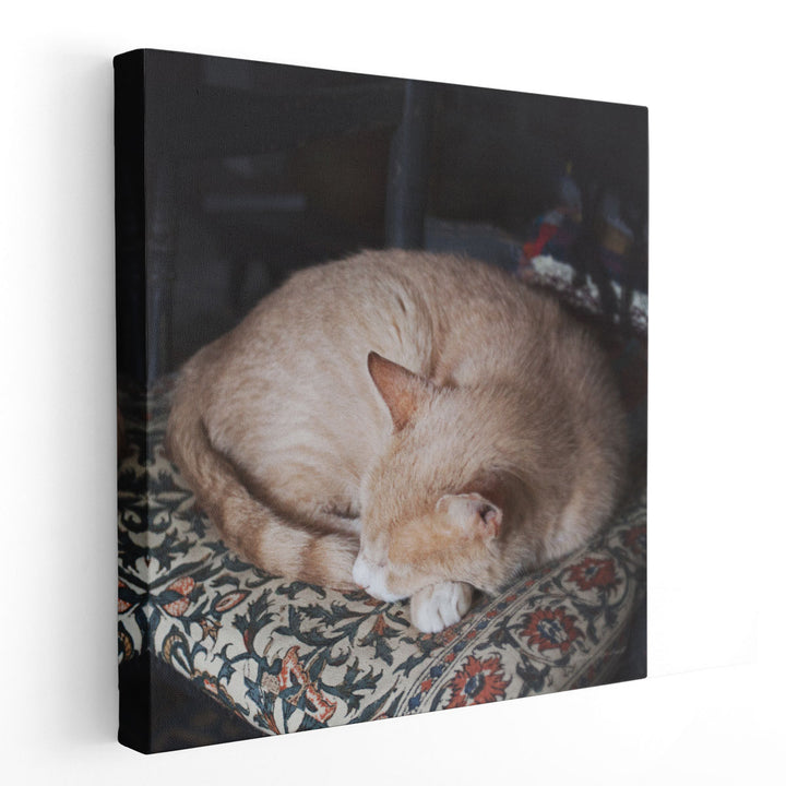 Sleepy Afternoon - Canvas Print Wall Art