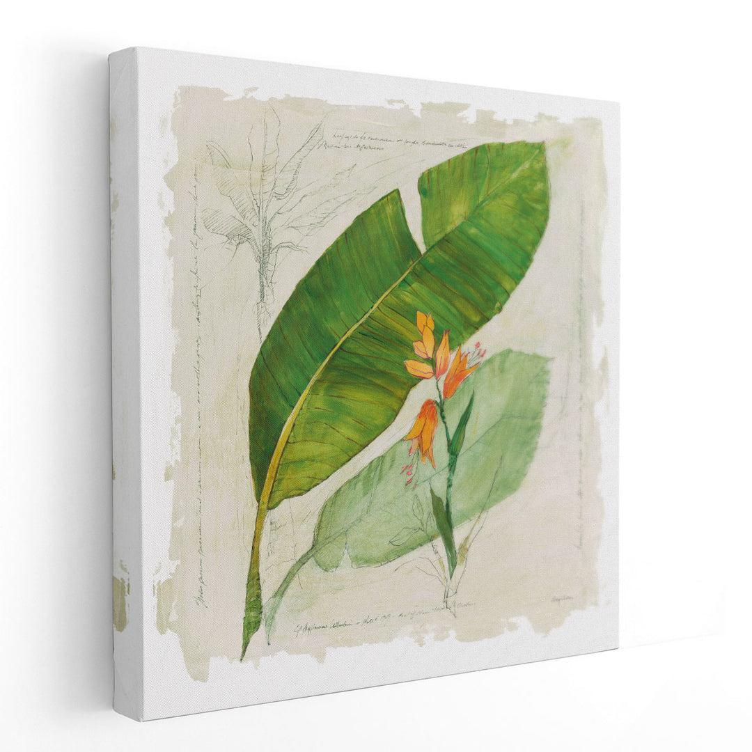 Botanical Study I - Canvas Print Wall Art