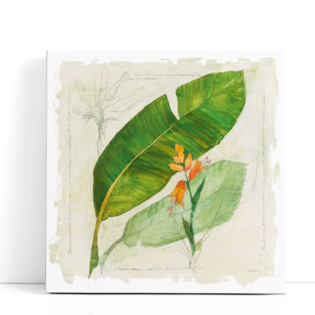 Botanical Study I - Canvas Print Wall Art