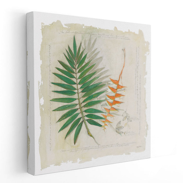 Botanical Study II - Canvas Print Wall Art