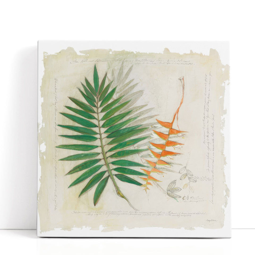 Botanical Study II - Canvas Print Wall Art
