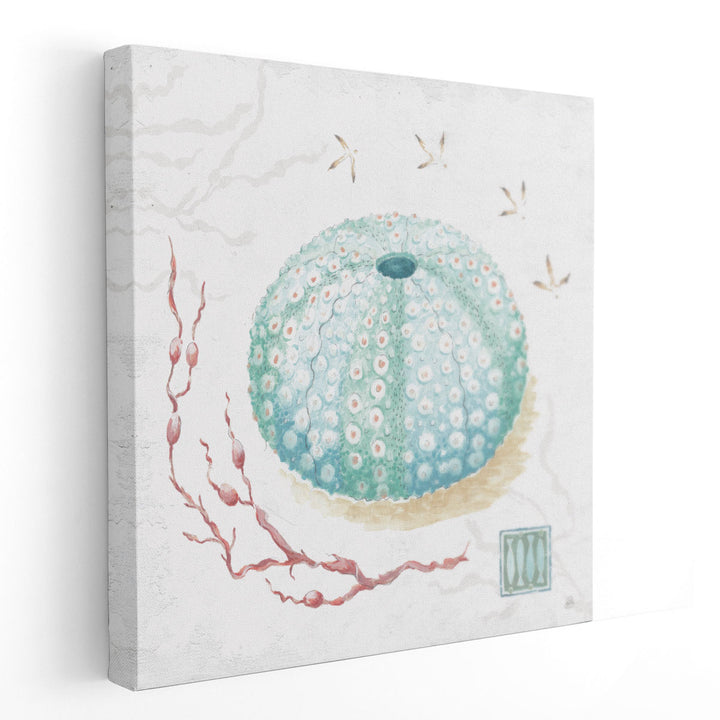 Delicate Sea VII - Canvas Print Wall Art