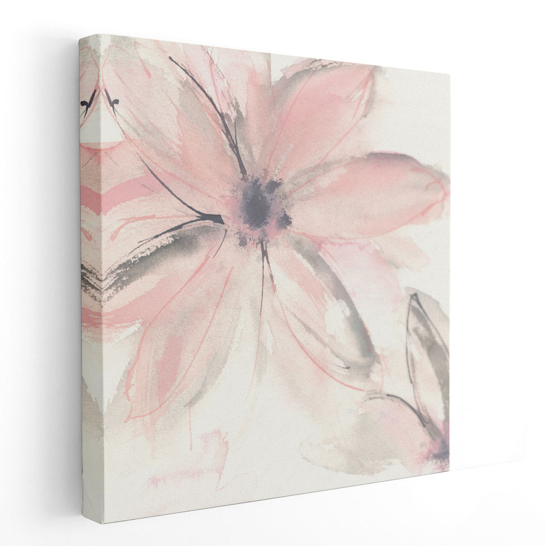 Blush Clematis II - Canvas Print Wall Art