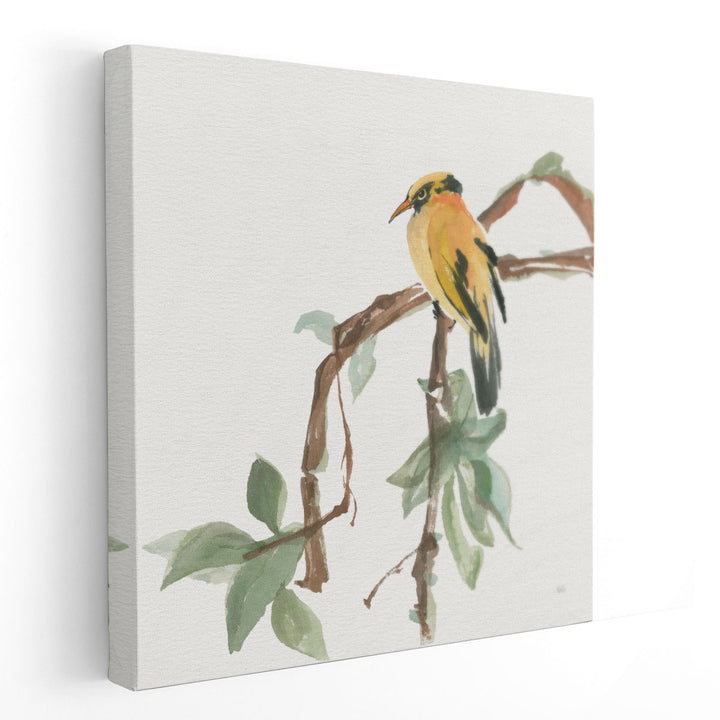 Black Napped Oriole - Canvas Print Wall Art