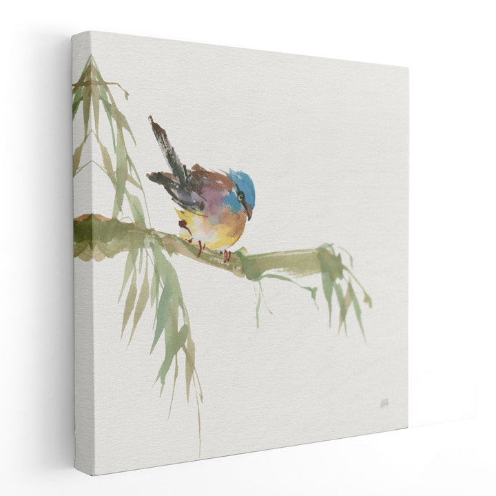 Finch - Canvas Print Wall Art