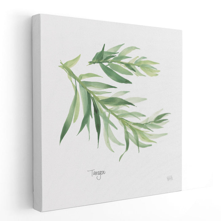 Tarragon - Canvas Print Wall Art