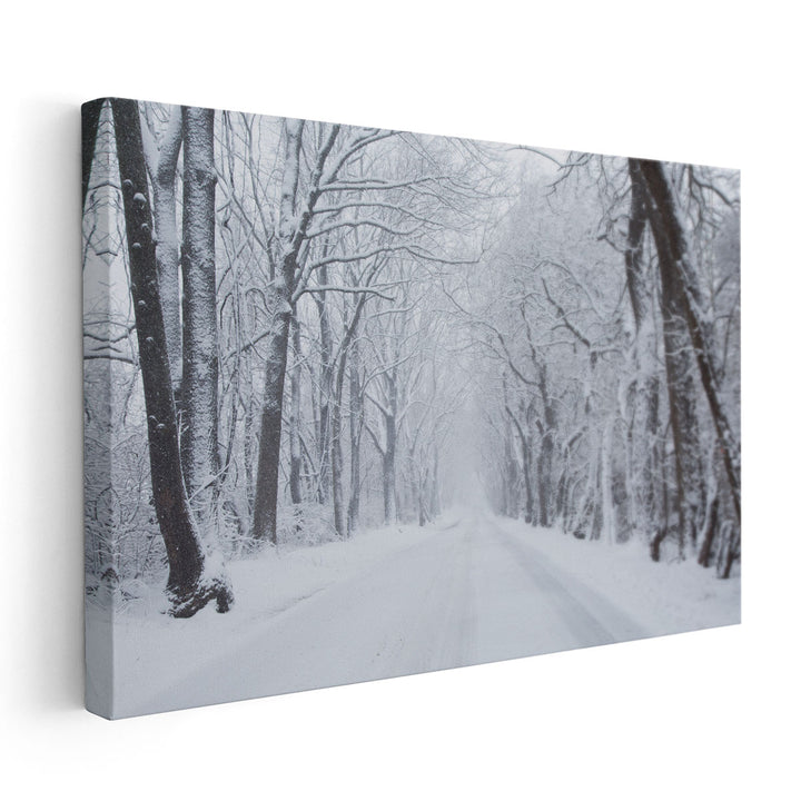 Going Home Black and White - Canvas Print Wall Art