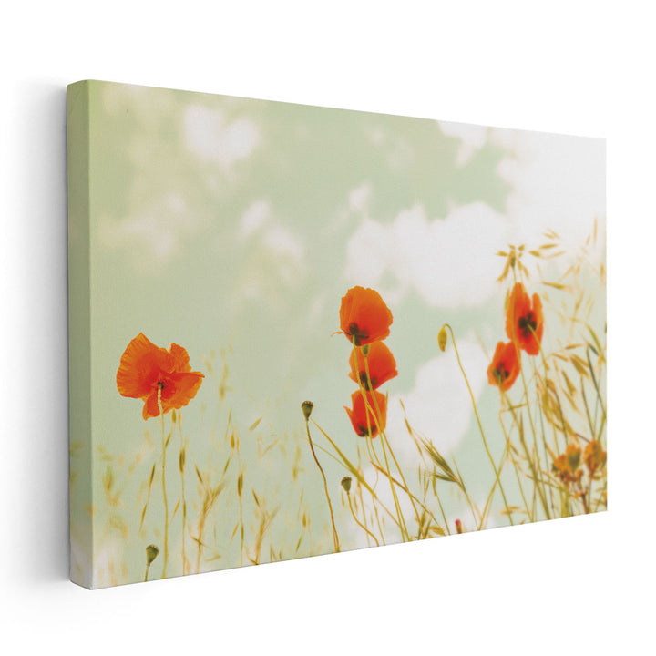 Poppies and Sky - Canvas Print Wall Art