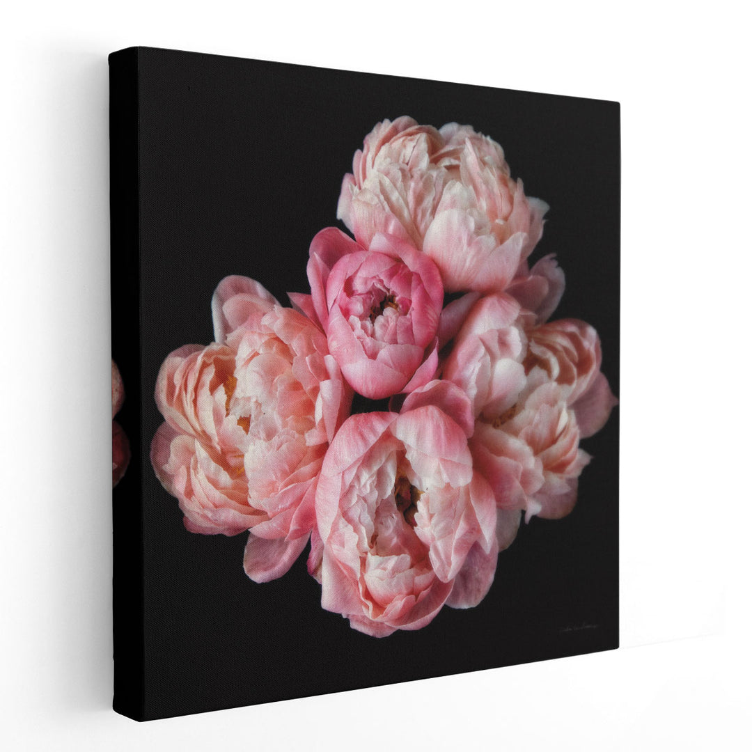 Coral Peonies III - Canvas Print Wall Art