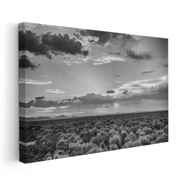 American Sage - Canvas Print Wall Art