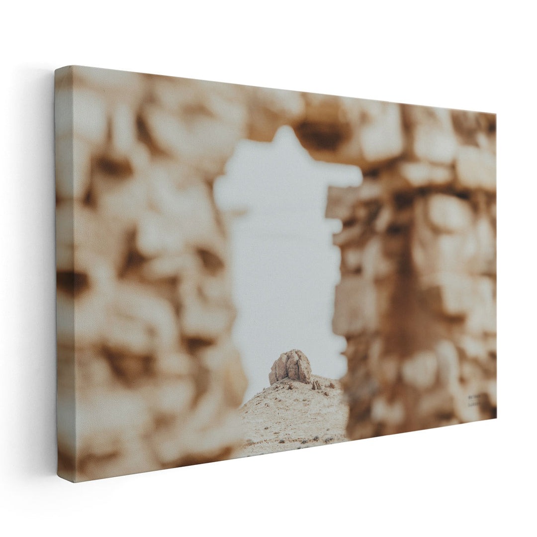 Through Ruins - Canvas Print Wall Art