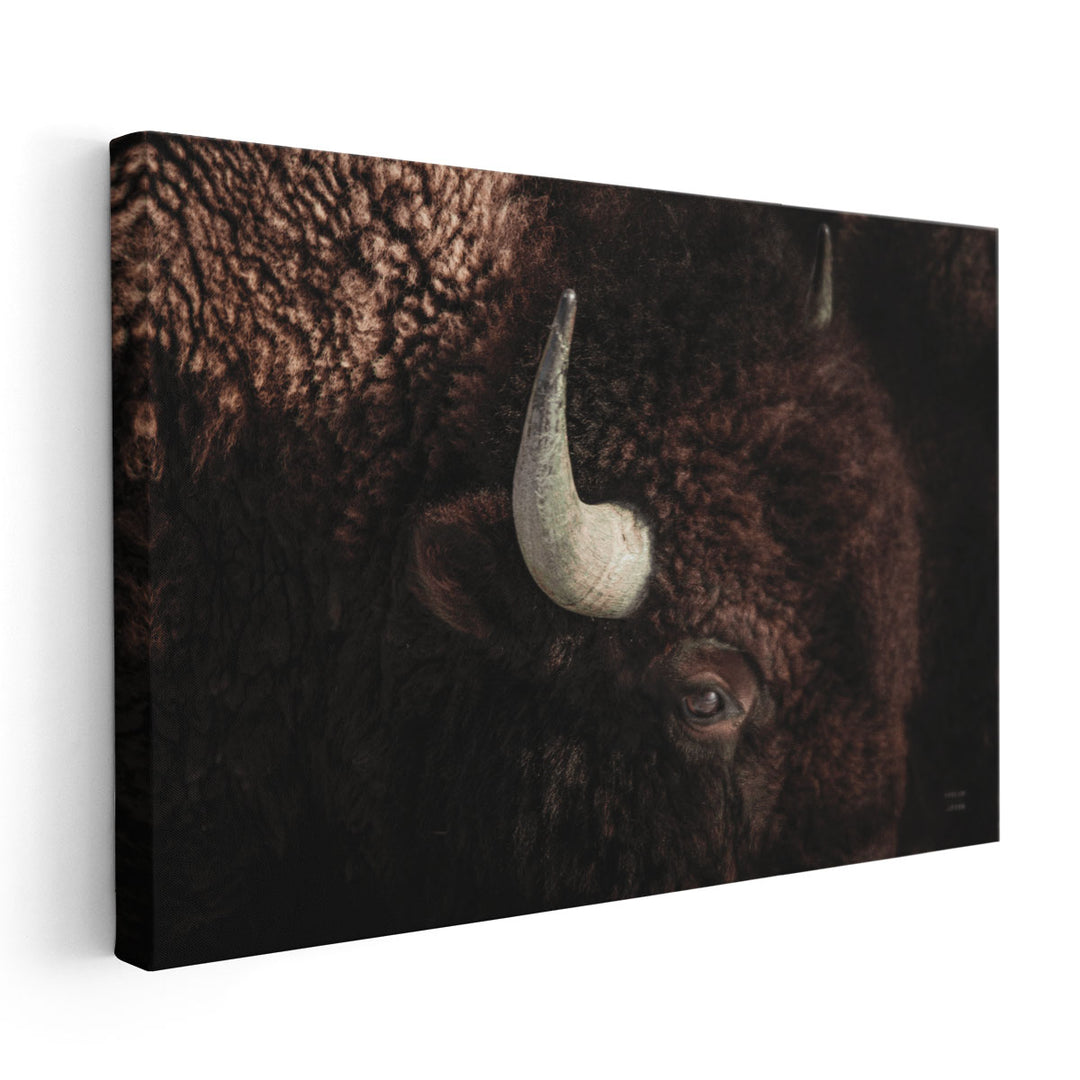 Bison - Canvas Print Wall Art