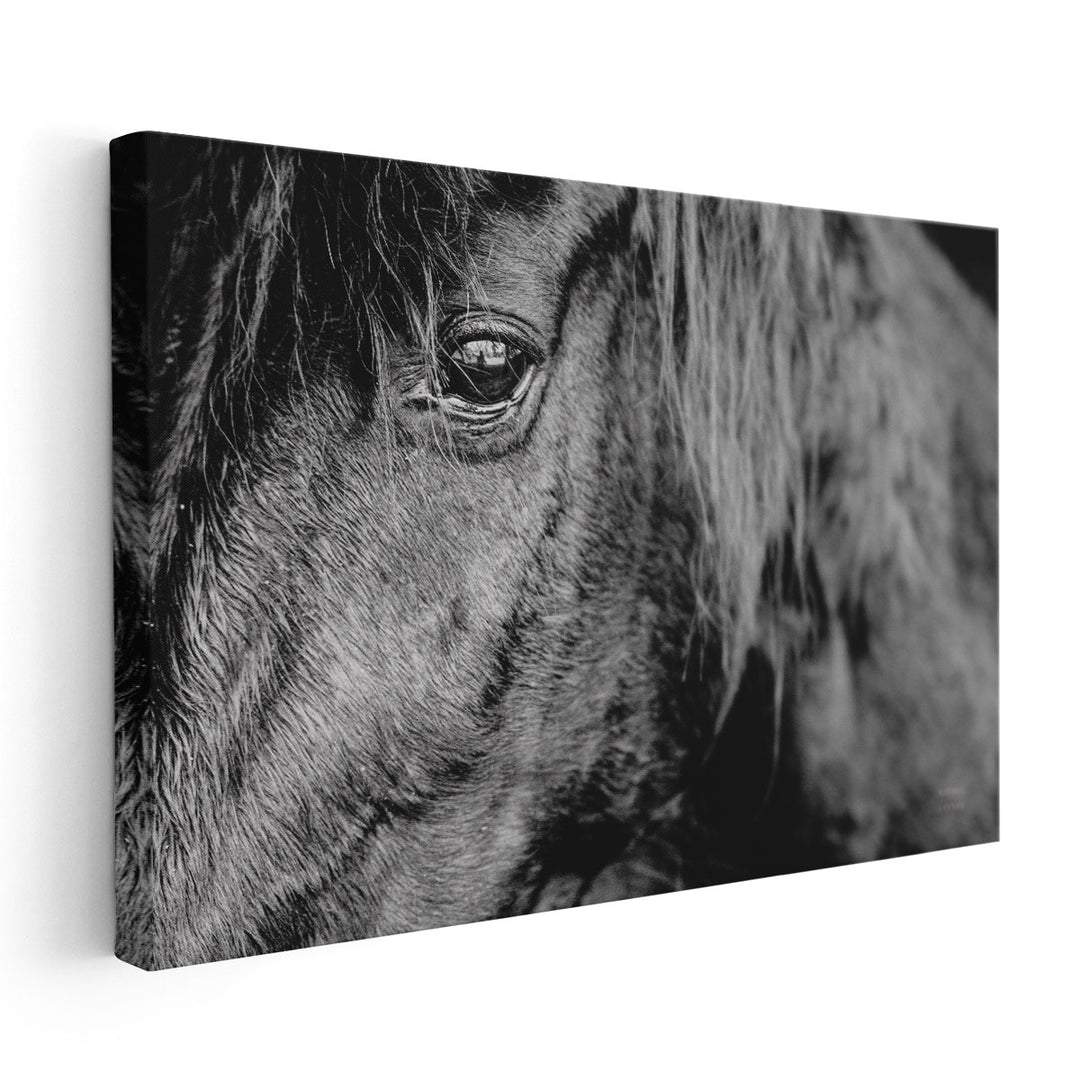 Mustang - Canvas Print Wall Art