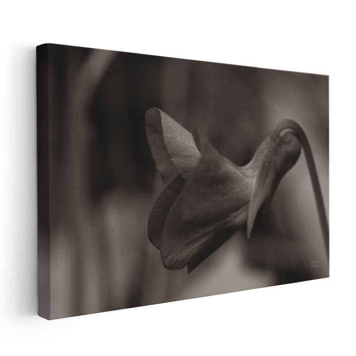 Indiana Dunes Flora II - Canvas Print Wall Art