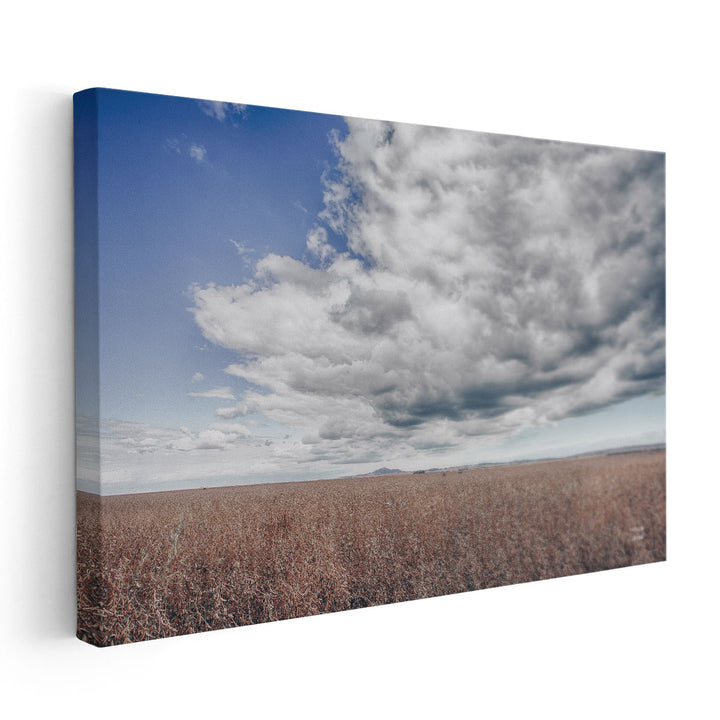 Soy Fields - Canvas Print Wall Art