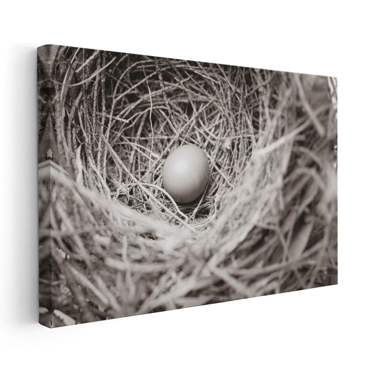 Nesting - Canvas Print Wall Art