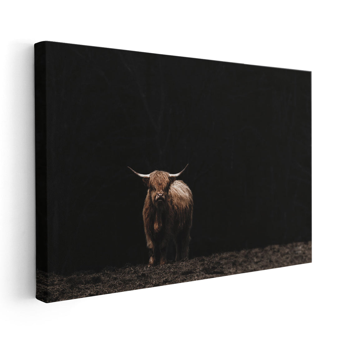 Highland Cow King of the Hill - Canvas Print Wall Art