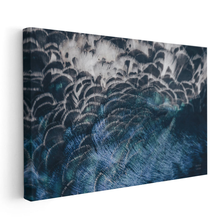 Peacock Study II - Canvas Print Wall Art