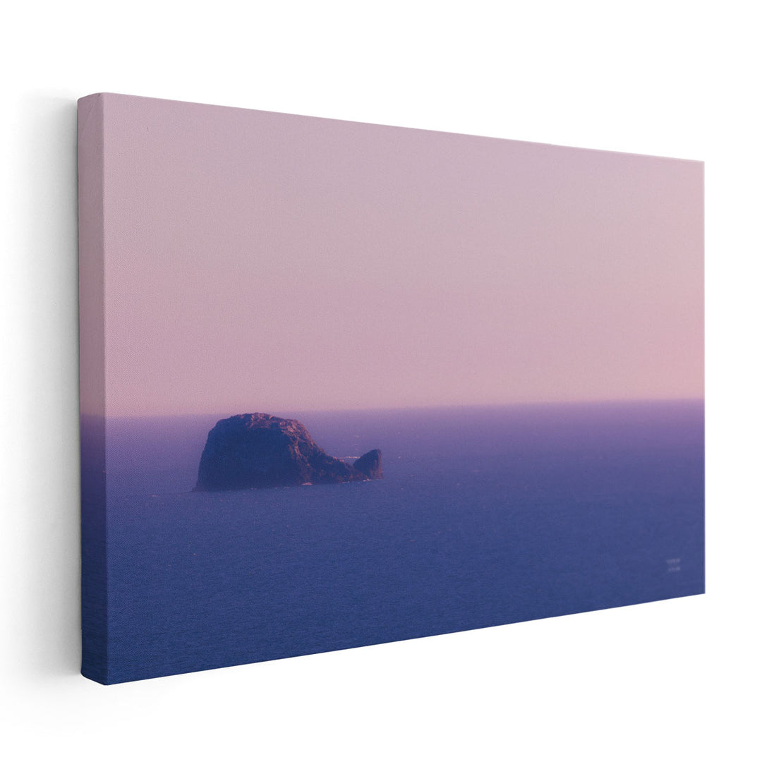 Whale Rock - Canvas Print Wall Art