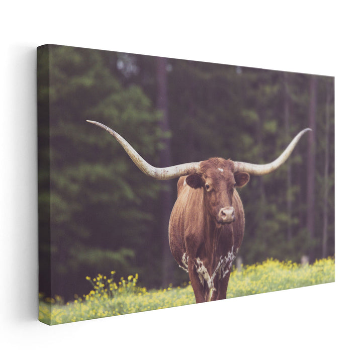 Longhorn Flowers - Canvas Print Wall Art