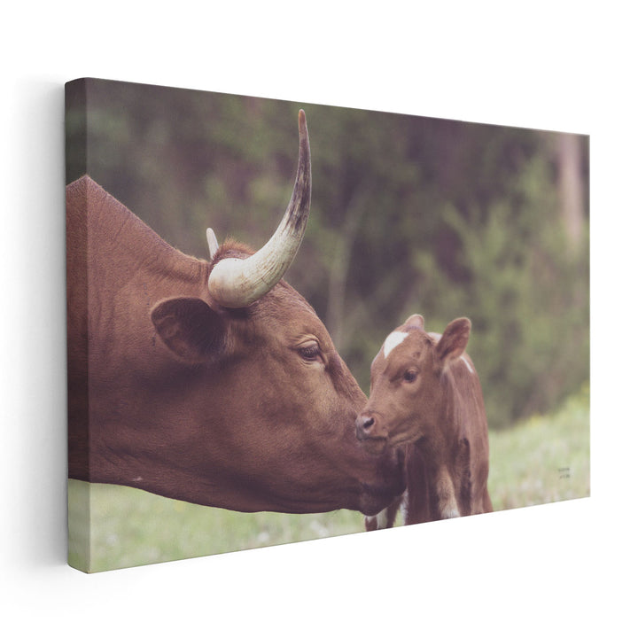 Longhorn Pairing - Canvas Print Wall Art