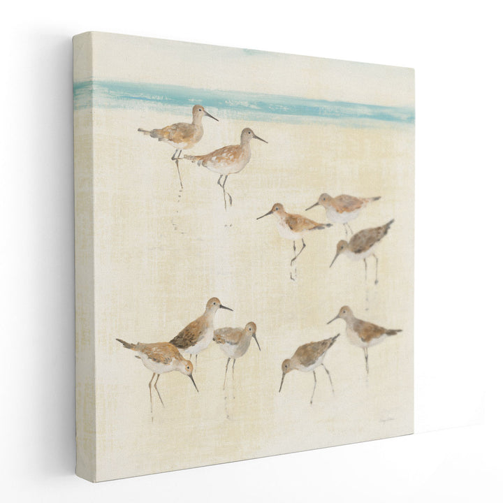 Sandpipers - Canvas Print Wall Art