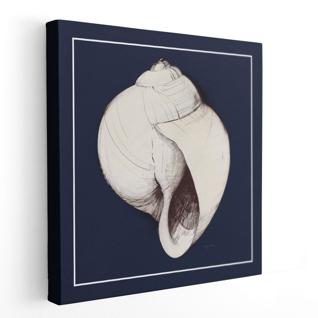 Coastal Shell I with Border Navy - Canvas Print Wall Art