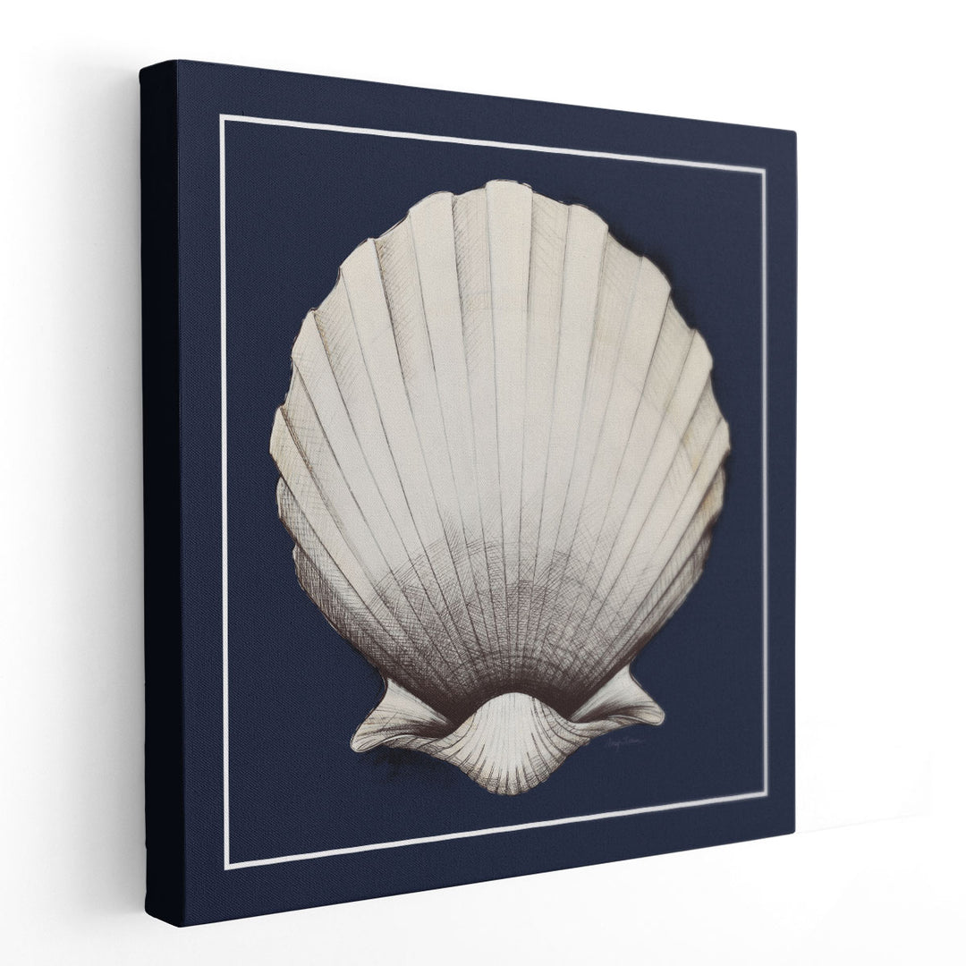 Coastal Shell II with Border Navy - Canvas Print Wall Art