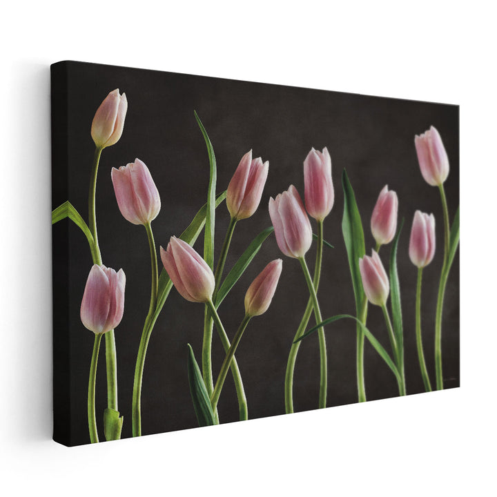 Spring Tulips IX - Canvas Print Wall Art