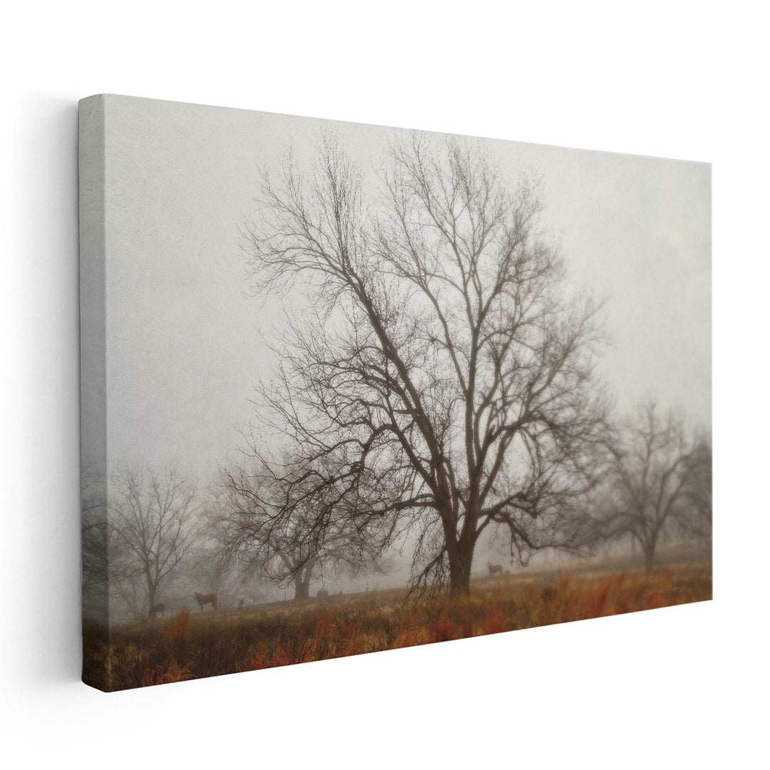 Morning Calm I - Canvas Print Wall Art