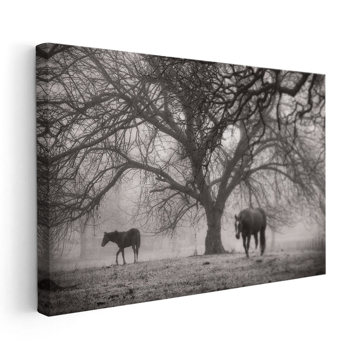 Morning Calm II Black and White - Canvas Print Wall Art