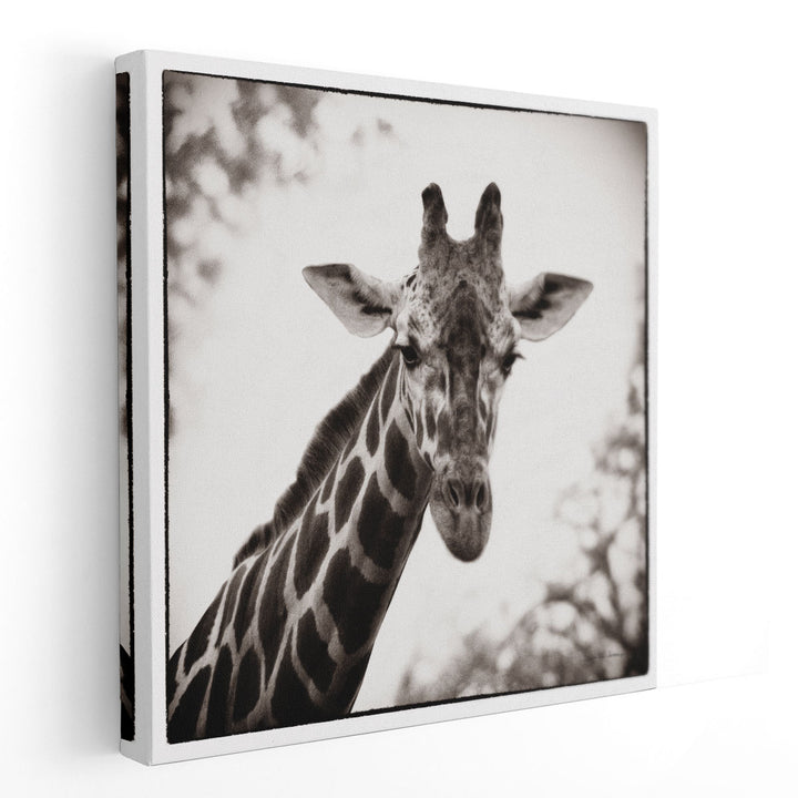 Giraffe I - Canvas Print Wall Art