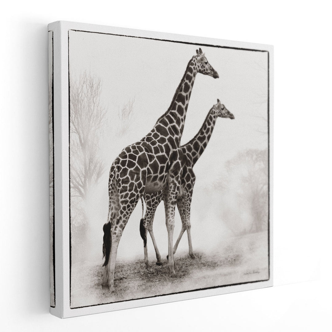 Giraffe II - Canvas Print Wall Art