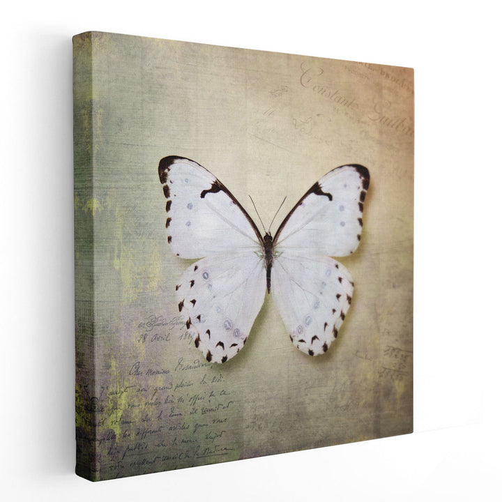 French Butterfly II - Canvas Print Wall Art