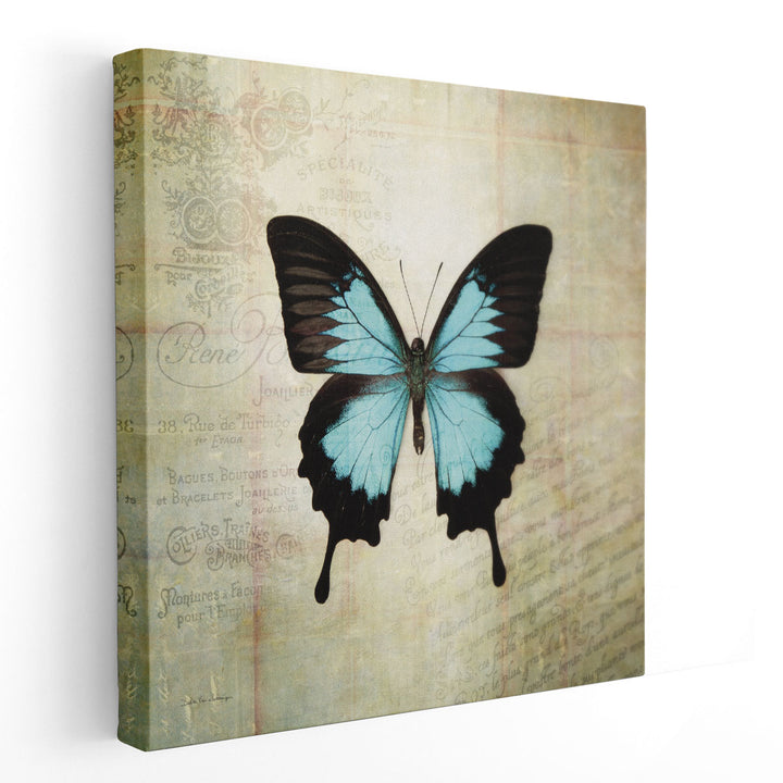 French Butterfly III - Canvas Print Wall Art