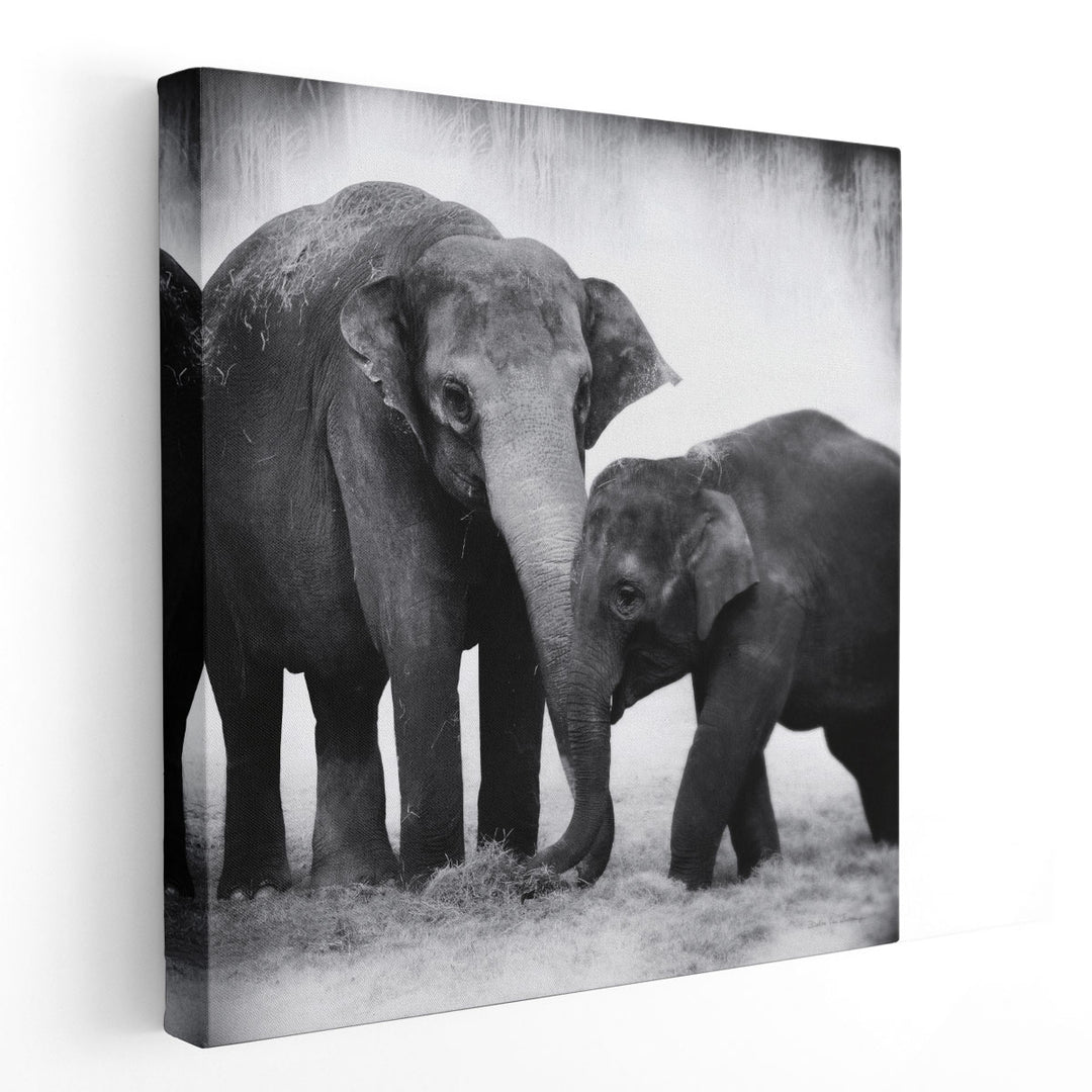 Elephant III Black and White - Canvas Print Wall Art