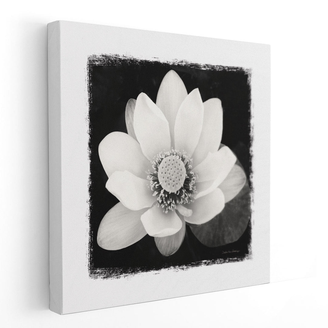 Lotus Flower II Black and White - Canvas Print Wall Art