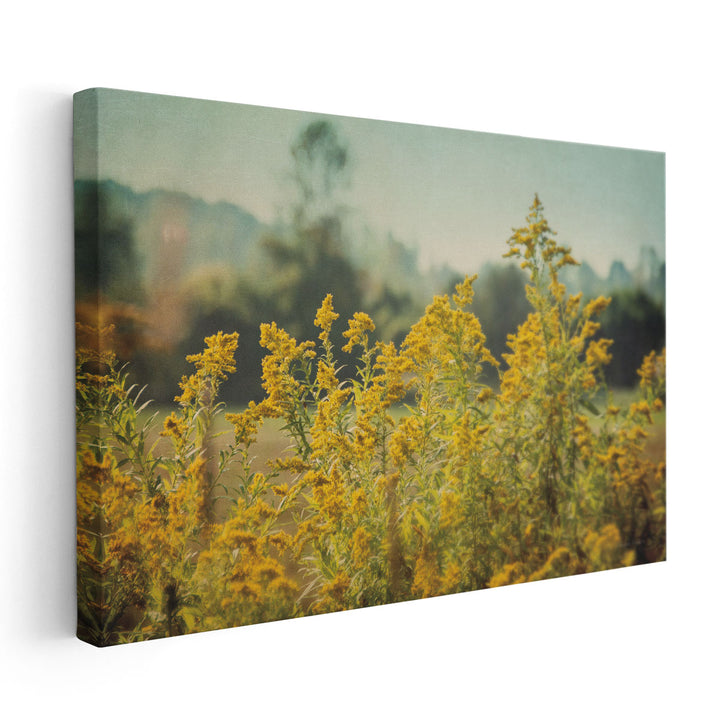 Blissful Country IV - Canvas Print Wall Art