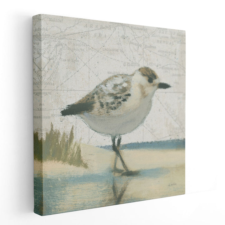 Beach Bird I- Canvas Print Wall Art