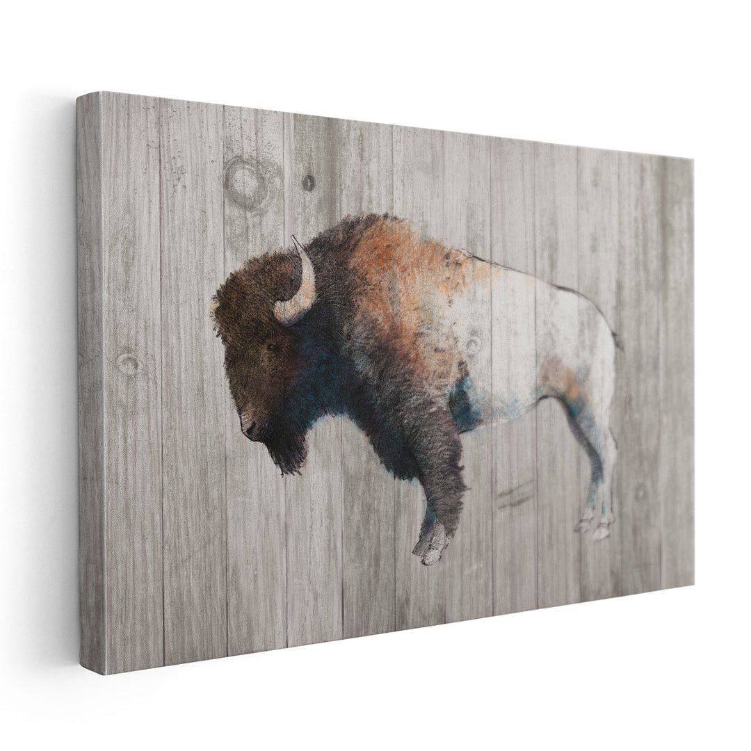 Colorful Bison Dark Brown on Wood - Canvas Print Wall Art