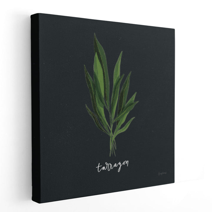 Herbs V Black - Canvas Print Wall Art