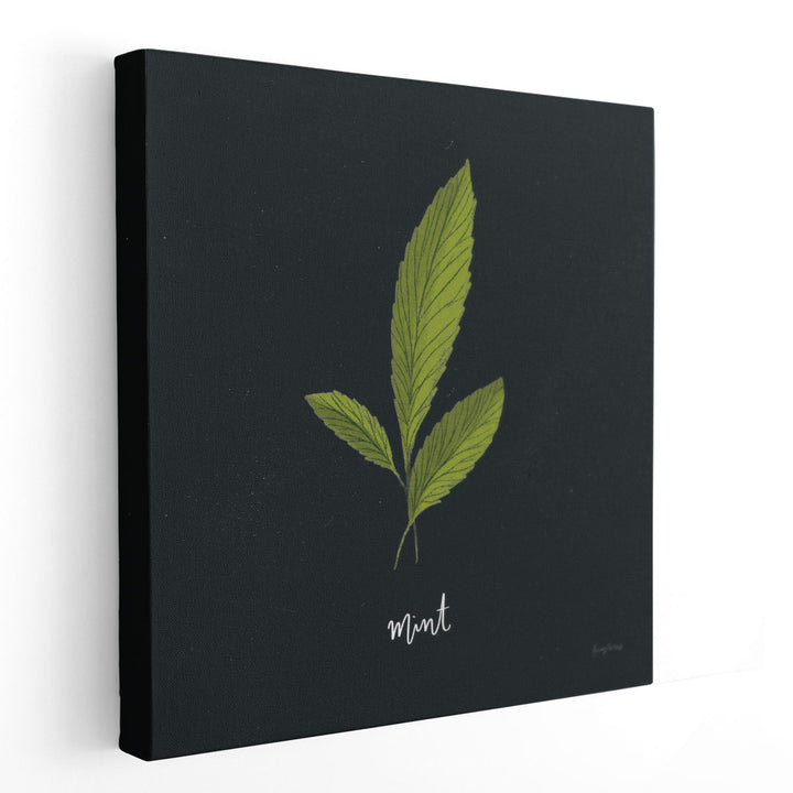 Herbs VII Black - Canvas Print Wall Art