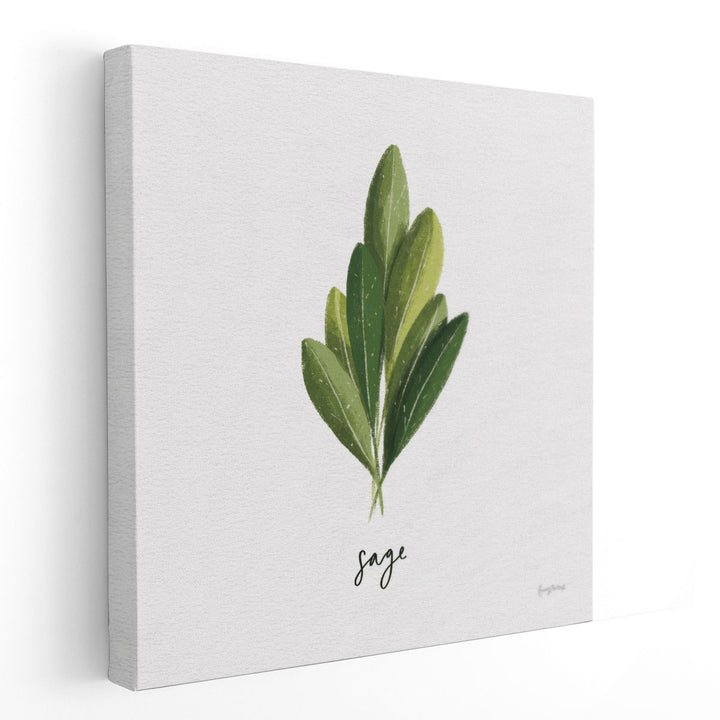 Herbs II White - Canvas Print Wall Art