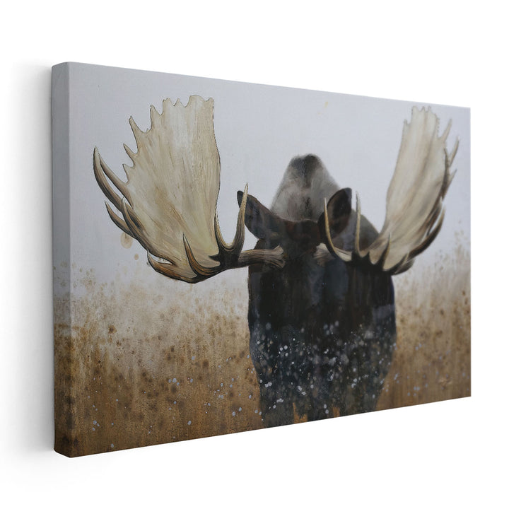 Moose - Canvas Print Wall Art