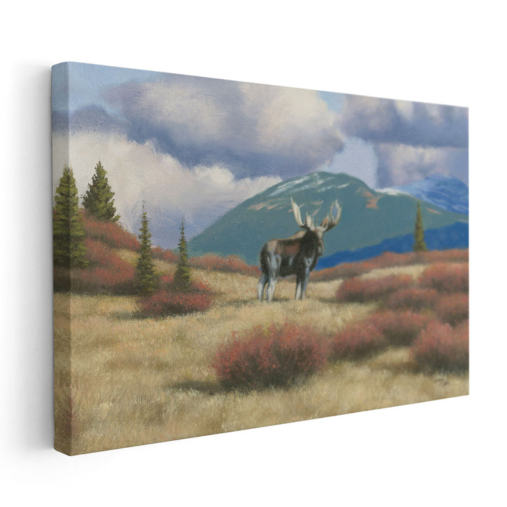 Northern Moose - Canvas Print Wall Art