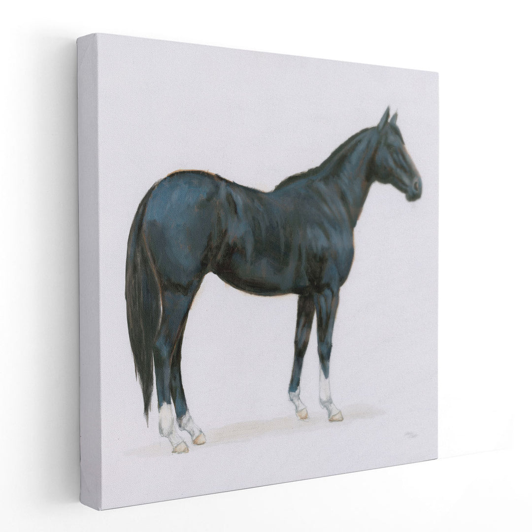 Black Horse - Canvas Print Wall Art