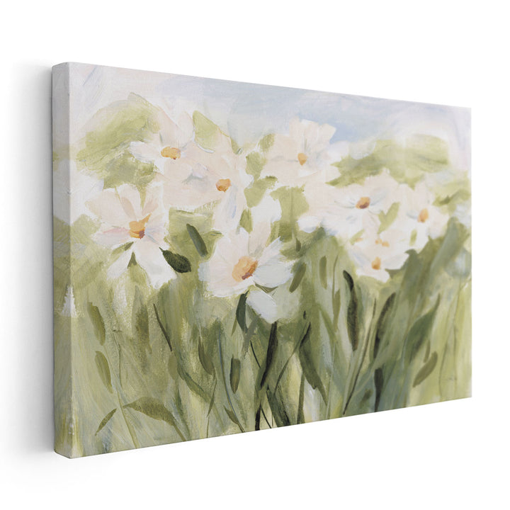 Daisy Meadow - Canvas Print Wall Art