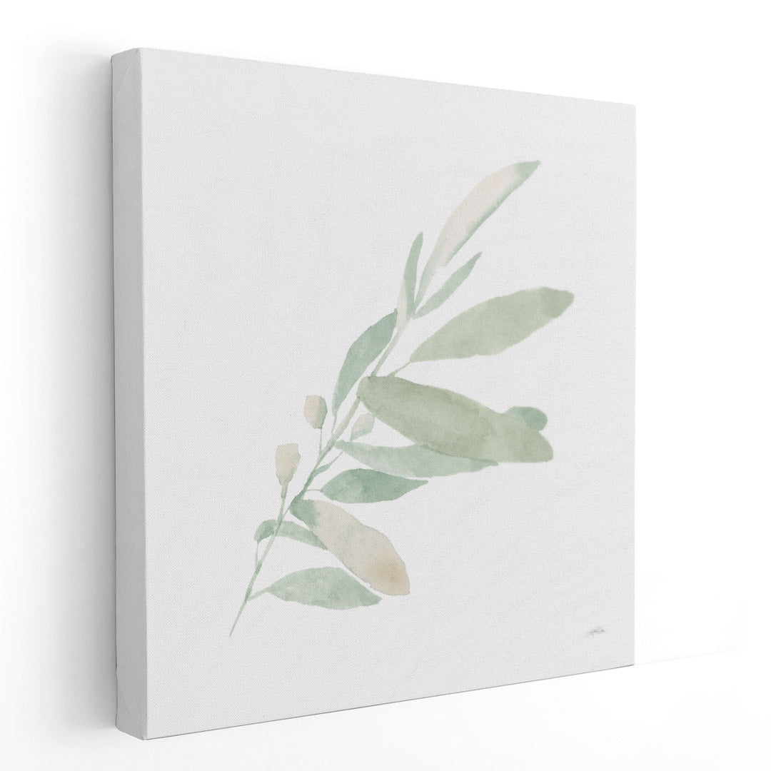 Sage I - Canvas Print Wall Art